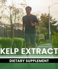 PURE ORIGINAL INGREDIENTS Kelp Extract (365 Capsules) No Magnesium Or Rice Fillers, Always Pure, Lab Verified