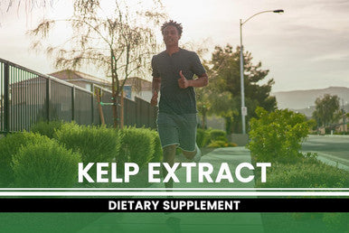 PURE ORIGINAL INGREDIENTS Kelp Extract (365 Capsules) No Magnesium Or Rice Fillers, Always Pure, Lab Verified