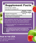 EZ Melts Dissolvable KSM-66 Ashwagandha 300 mg Sugar-Free Stress Sleep and Mood Support Supplement 30-Day Supply Apple Berry-Flavor