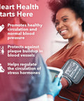 Lifeseasons B/P Stabili-T - Blood Pressure Support - Vitamin Supplement For Healthy Heart & Blood Circulation - Ashwagandha, Arjuna, Gotu Kola & Hawthorn Berry - 120 Capsules