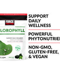 Force Factor Chlorophyll Soft Chews Antioxidants Supplement to Reduce Body Odor, Promote Fresh Breath, Non-GMO, Gluten-Free, and Vegan, Fresh Mint Flavor, 30 Soft Chews, Green