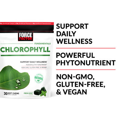 Force Factor Chlorophyll Soft Chews Antioxidants Supplement to Reduce Body Odor, Promote Fresh Breath, and Nourish Healthy Skin, Non-GMO, Gluten-Free, and Vegan, Fresh Mint Flavor, 60 Soft Chews
