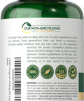 Carlyle Fenugreek Capsules | 300 Count | Non-GMO & Gluten Extract | Fenugreek Seeds