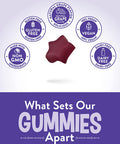 Iron Gummies | 60 Count | Vegan, Non-GMO & Gluten Supplement | with B Vitamins & Zinc | Grape Flavor | by Natures Truth