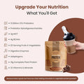 Upnourish Plant Based Meal Replacement Protein Powder Creamy Chocolate Flavor 15 Servings