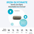 Xymogen Iron Glycinate - Gentle, Highly Absorbable Iron Supplement For Women + Men - 29Mg Patented Iron Bisglycinate Chelate Supports Healthy Ferritin And Hemoglobin Levels (120 Iron Capsules)