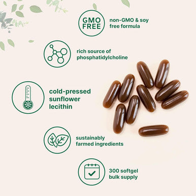 Micro Ingredients Sunflower Lecithin 1600mg Per Serving 300 Softgels | Sustainably Farmed Source Cold Pressed Rich in Phosphatidyl Choline | Lactation Supplement | Soy Non-GMO