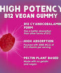 Vitamin B12 Energy Gummies 3000 mcg per Serving Extra Strength B 12 Gummy for Metabolism Immune Support Chewable Dietary B12 Supplements Natural Caffeine Free Gummy Berry Flavor 60 Gummies