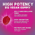 Nature'S Nutrition B12 Gummies Extra Strength Energy 3000 mcg Vitamin B12 B-12 Energy Metabolism & Immune System Support Chewable Supplement for Adults & Kids Caffeine Berry Flavored Gummy Vegan - 120 Count