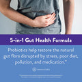 InnovixLabs MultiStrain Probiotic Supplement 50 Billion CFU 60 Pills