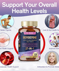 27-In-1 Berberine Supplement With Ceylon Cinnamon, Milk Thistle - Pure Berberine 6000Mg - Berberine Plus For Immune, Better Figure, Liver & Gut Health, Vegan Supplements For Men & Women - 120 Caps