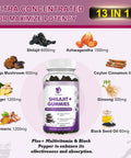 (2 Pack) Shilajit Gummies, Pure Himalayan Shilajit With Ashwagandha, Black Seed Oil, Vitamin C D3 B12 & Zinc, Sugar Shilajit For Men & Women, Vegan & Non-Gmo
