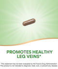 Nature's Way Standardized Horse Chestnut Premium Extract 250 mg per serving 90 Vegan Capsules