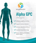 LongLifeNutri Alpha Gpc Choline Supplement 300Mg - 180 Vegetarian Capsules | Made In Usa | Cognitive Enhancer Nootropic | Supports Memory & Brain Function | Boosts Focus & Mood | 300 Mg Pure Powder Pills Complex