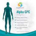LongLifeNutri Alpha Gpc Choline Supplement 300Mg - 180 Vegetarian Capsules | Made In Usa | Cognitive Enhancer Nootropic | Supports Memory & Brain Function | Boosts Focus & Mood | 300 Mg Pure Powder Pills Complex