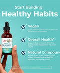 Maryruth Organics Chlorophyll Liquid Drops Clean Label Project Vegan Non-Diluted Liquid Chlorophyll| Mulberry Derived Supplement for Ages 14+ Non-GMO Delicious Minty Flavor 2 Fl Oz