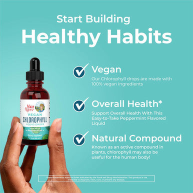 Maryruth Organics Chlorophyll Liquid Drops Clean Label Project Vegan Non-Diluted Liquid Chlorophyll| Mulberry Derived Supplement for Ages 14+ Non-GMO Delicious Minty Flavor 2 Fl Oz