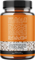 Natures Craft White Kidney Bean Energy Booster - White Kidney Bean Extract Pill and Natural Vegetarian Supplements - Natural Energy Pills and White Bean Extract Supplements