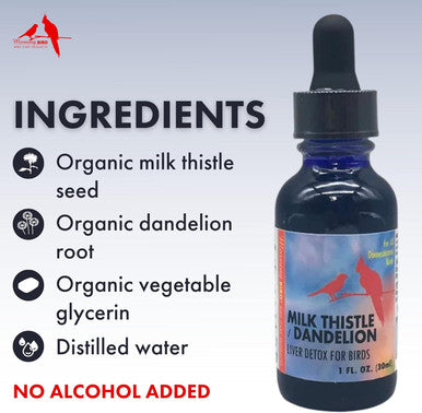 Morning Bird Milk Thistle Dandelion Extract, Organic Liquid Supplement For Aviary Liver Health, 1 Fl Oz