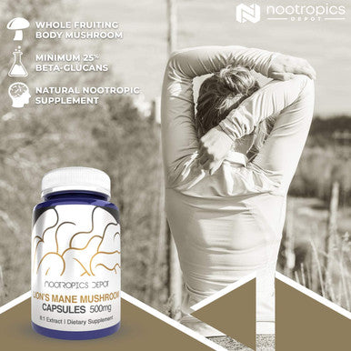 Lions Mane Mushroom Capsules 500mg 60 Count Hericium erinaceus Organic Whole Fruiting Body Mushroom Extract Brain Health Supplement Neuroprotective Boosts Mood