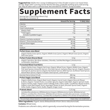 Garden of Life - Perfect Food Super Green Formula Powder 10.58 Oz. 62892
