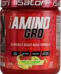 Isatori Amino-Gro Bcaa Powder Branched Chain Amino Acids With Glutamine Electrolyte Powder & Bio-Gro Bio-Active Peptides For Muscle Growth & Post Workout Recovery Blue Razz Snow Cone (30 Servings)