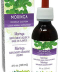 Naturalma Moringa (Moringa Oleifera Or Moringa Aptera) Leaf Alcohol-Free Tincture - 4 Fl Oz Liquid Extract In Drops - Herbal Supplement - Vegan