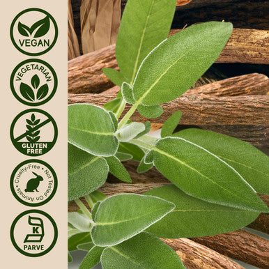 Nature'S Answer Licorice Root 90 Capsules - Licorice Root Extract for Digestive Immune and Respiratory Support - Vegetarian Vegan Gluten Kosher Licorice Root Capsules - Supports Skin
