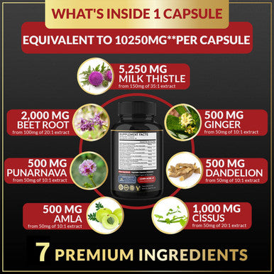 BMVINVOL (3 Months Supply) Milk Thistle Capsules 10250 mg - Supports Healthy Liver Function - High Potency with Beet Root, Cissus, Punarnava