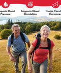 Lifeseasons B/P Stabili-T - Blood Pressure Support - Vitamin Supplement For Healthy Heart & Blood Circulation - Ashwagandha, Arjuna, Gotu Kola & Hawthorn Berry - 120 Capsules