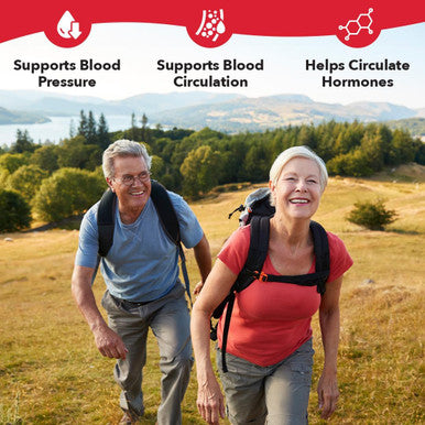 Lifeseasons B/P Stabili-T - Blood Pressure Support - Vitamin Supplement For Healthy Heart & Blood Circulation - Ashwagandha, Arjuna, Gotu Kola & Hawthorn Berry - 120 Capsules