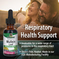 Nature'S Answer Mullein Leaf with Organic Alcohol 1-Fluid Ounce | Extract for Lungs | Respiratory Support