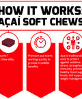 Force Factor Soft Chews for Immune Support, Oxidative Defense, & Superfood & Antioxidants Supplement, Non-GMO, Gluten-Free, & Vegan, Berry Flavor, 60 Soft Chews, 2 Packs, 12 Ounces