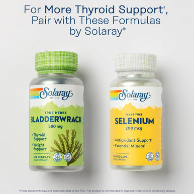 Solaray Iodine 500 Mcg, Iodine Supplement For Healthy Adrenal And Thyroid Support, Energy, Metabolism, And Focus, Potassium Iodide, Vegan, 60-Day Money-Back , 90 Servings, 90 Vegcaps