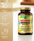 Solgar Boswellia Resin Extract Vegetable Caps 60 Ct
