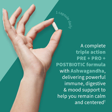 Garden of Life Dr Formulated Calm Daily 3-In-1 Complete Probiotics Prebiotics & Postbiotics With Ashwagandha - Pre + Pro + Postbiotic Supplement For Immune Digestive & Mood Support - 30 Day Supply