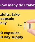 Nature Made Multi + Elderberry Capsules Multivitamin For Daily Immune Support One Per Day Multivitamin 60 Count
