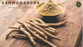 Organic Ashwagandha 900 MG 60 Vegan Capsules Premium Ayurvedic