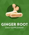 Nature'S Way Ginger Root, Traditional Digestive Support*, 1,100 Mg, 240 Vegan Capsules