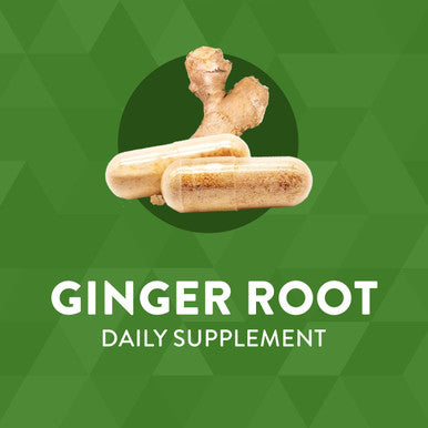 Nature'S Way Ginger Root, Traditional Digestive Support*, 1,100 Mg, 240 Vegan Capsules