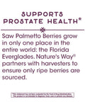 Nature'S Way Premium Saw Palmetto Extract Prostate Health Support For Men 160Mg 120 Softgels
