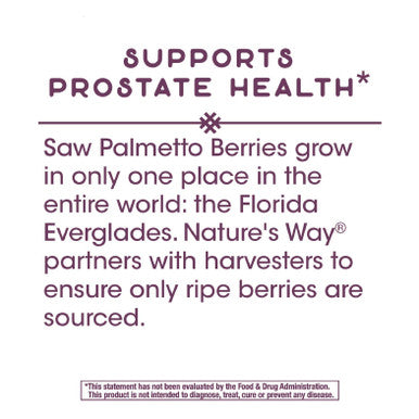 Nature'S Way Premium Saw Palmetto Extract Prostate Health Support For Men 160Mg 120 Softgels
