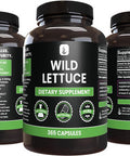 PURE ORIGINAL INGREDIENTS Wild Lettuce (365 Capsules) No Magnesium Or Rice Fillers, Always Pure, Lab Verified