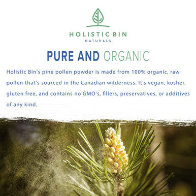Organic Pine Pollen Powder by Holistic Bin | Pharmaceutical Grade, Wild Harvested, Golden Canadian Pine Pollen | Non GMO, No Additives | Pure Pollen Supplement Made from The Lodgepole Pine Tree, 20 g