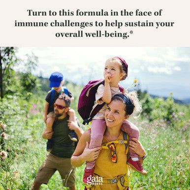 Gaia Herbs Olive Leaf - Traditional Immune Health Support - Immune System Supplement with Olive Leaf Extract and Oleuropein - 120 Vegan Liquid Phyto-Caps