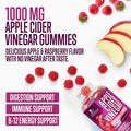 Nature'S Nutrition Vegan Apple Cider Vinegar Gummies 1000mg for Detox & Cleanse ACV Gummy Vitamin B12 for Digestion Metabolism & Immune Health Support Natural Apple Raspberry Flavor Gluten - 120 Gummies