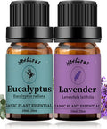 Lavender + Eucalyptus Essential Oil Aromatherapy Oil, 100% Pure Essential Oils for Diffuser, Humidifier, Massage 10ML*Top 2 Set