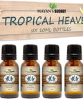 Premium Grade Fragrance Oil -Tropical Heaven- Gift Set 6/10ml Ocean Breeze, Honeydew Melon, Pina Colada, Pineapple, Mango, Coconut Cream Pie