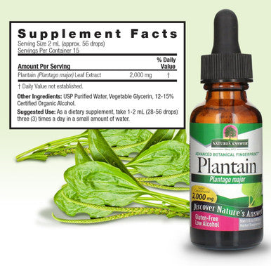 Nature'S Answer Plantain Leaf with Organic Alcohol 2000mg 1oz Extract | Supports Skin Wellness | Gluten- Non-GMO Vegan No Preservatives or Artificial Flavors | Single Count