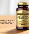 Solgar Glucosamine Hyaluronic Acid Chondroitin Msm - 120 Tablets Pack Of 2 - Promotes Healthy Joints Supports Comfortable Movement - Non-Gmo Gluten Free - 80 Total Servings